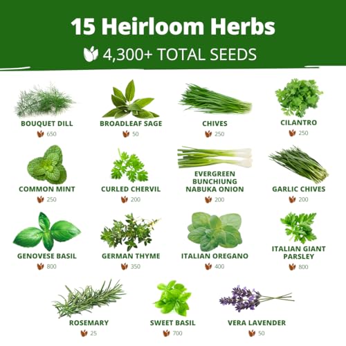 HOME GROWN 15 Herb Seed Variety Kit, 4300+ Seeds, Culinary Herb Kit | High Germination, Heirloom, Non-GMO | 4300+ Seeds | Indoor/Outdoor & Hydroponic | Culinary Herbs | Gardening Gift