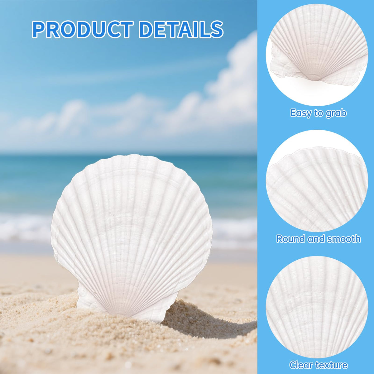 10PCS Natural Large Scallop Shells for Crafts, 4-5 in White Sea Shells, DIY | Smooth, cleaned surfaces suit painting, resin art, candle making, baking displays, weddings, classrooms and ocean parties.