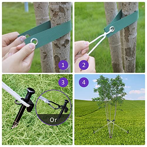 Heavy Duty Steel Tree Stake Kits,Tree Staking and Supports Kits for Young Trees Against Bad Weather, Include 3 PCS Tree Straps for Staking, 3 PCS 11.8 Inch Tree Stakes and 31.2 Feet Rope for Anchoring