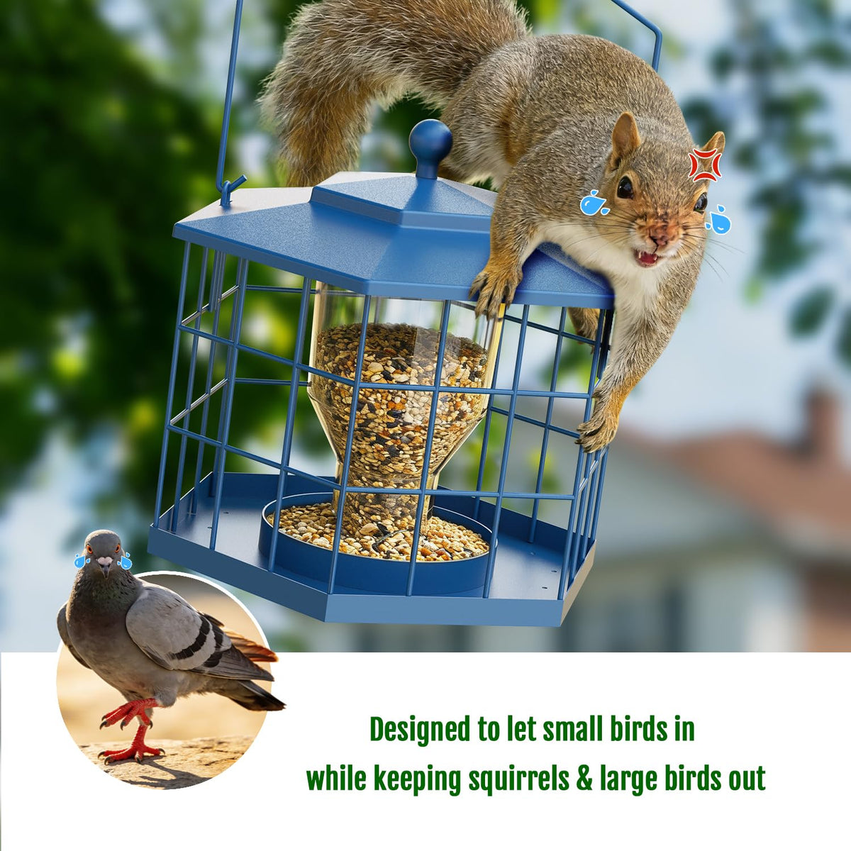 Birdream Squirrel Proof Bird Feeders for Outdoor Hanging, Metal Cage Bird Feeder with Rain Proof Covered for Wildbirds Bluebird Finches, Blue