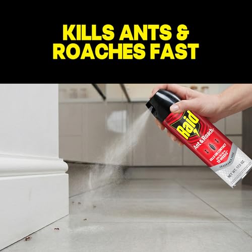 Raid Ant & Roach Killer Bug Spray, Fragrance Free, 17.5 oz, 2 Count | Kills Ants & Roaches on Contact, Keeps Killing For Up to 13 Weeks, For Home Use, No Lingering Chemical Odor