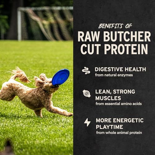 Vital Essentials Freeze Dried Dog Treats, Beef Liver, 2.1 oz Bag | Single Ingredient, Made With 100% Beef Liver, Grain-Free Training Treats, USA Made with U.S. & Globally Sourced Ingredients