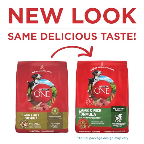 Purina ONE Lamb and Rice Formula Dry Dog Food for Digestive Support | Dog food with real lamb as first ingredient, Microbiome Balanced and prebiotic fiber, supports digestive health