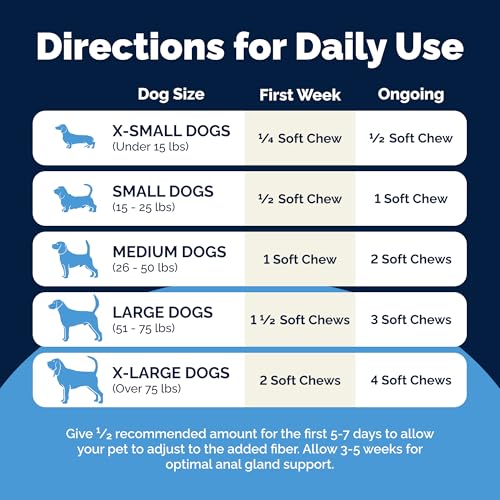 Vetnique Glandex for Dogs Anal Gland Chews 60ct Pumpkin + Digestive Enzymes | Anal Gland Dog Treats, Boot the Scoot + Fishy Odor Support, Fiber, Probiotics, Quercetin + Apple Pectin, Peanut Butter