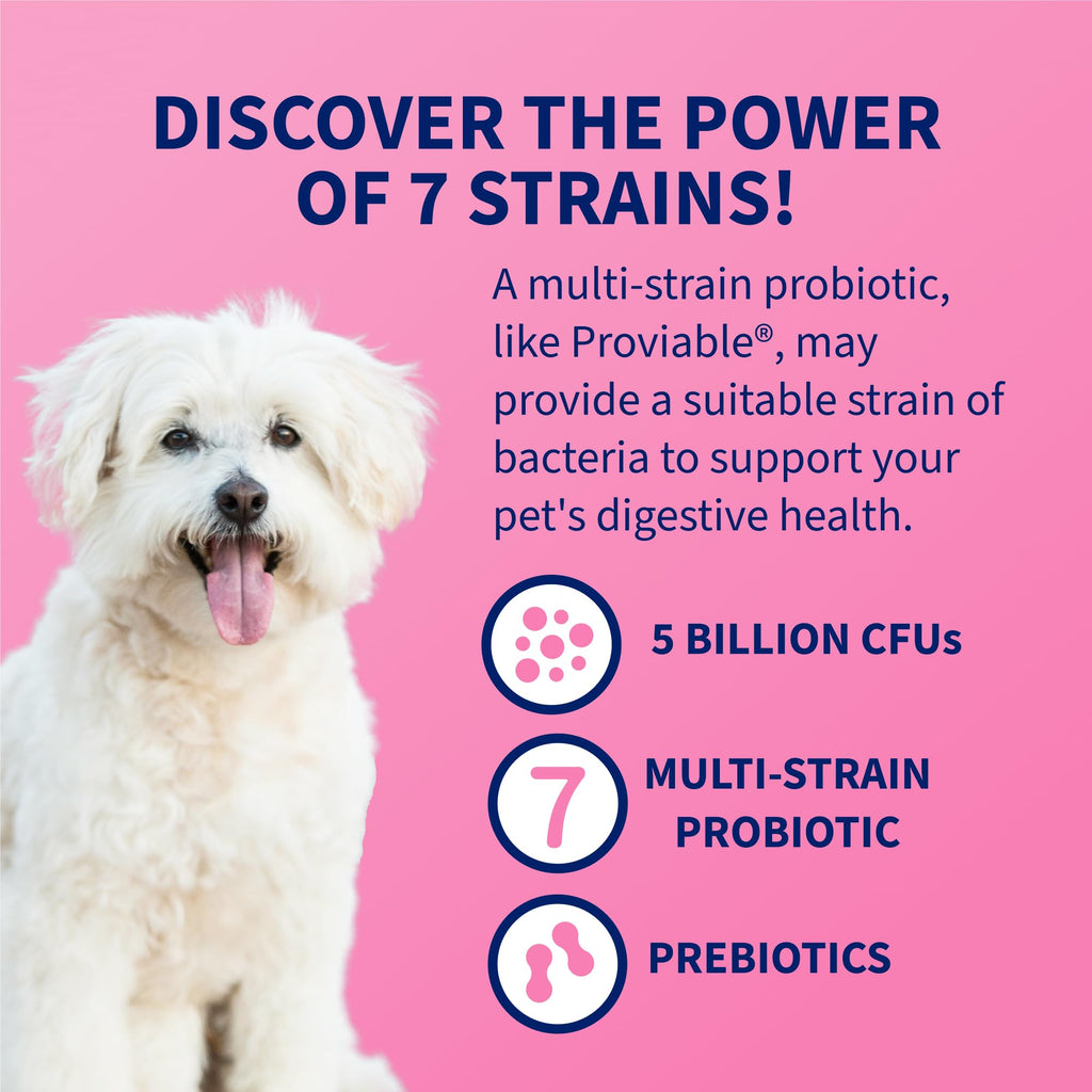 Nutramax Proviable Probiotics for Dogs & Cats, Sprinkle Capsules, 30ct | Probiotics for Cats and Dogs, Plus Prebiotics, Daily Gut Health Support Supplement, Multiple Strains, Sprinkle on Food