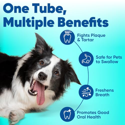 C.E.T. Enzymatic Toothpaste for Dogs and Cats, Poultry, 2.5oz | Plaque and tartar control for fresh breath, pet dental care toothpaste, Dual enzyme system, poultry flavored toothpaste