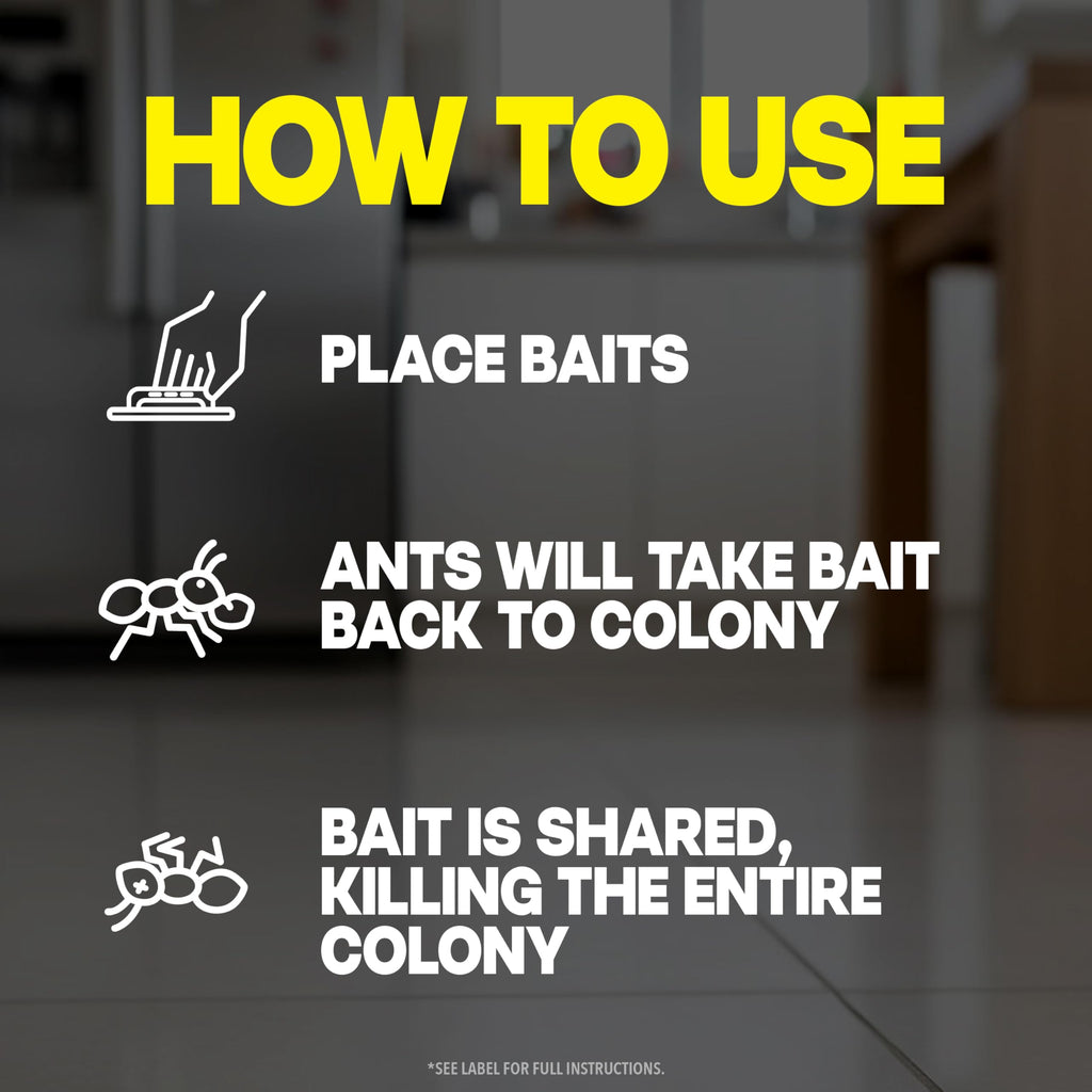 Raid Ant Killer Baits, For Household Use, Child Resistant, 8 Count | Kills the Colony, Keeps Killing Ants for Up to 3 Months, For Indoor Home Use