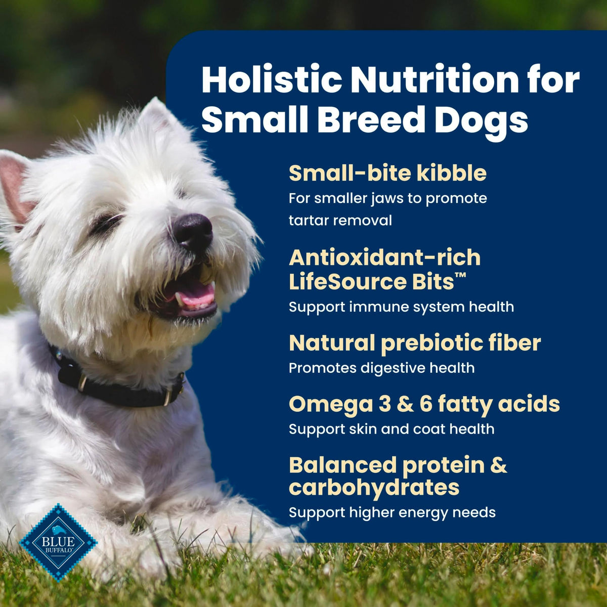Blue Buffalo Life Protection Formula Chicken Small Breed Dry Dog Food, 5 lb | Real Chicken #1 Ingredient, Antioxidant-Rich LifeSource Bits, Supports Higher Energy Needs, Formulated for Small Breed Dogs