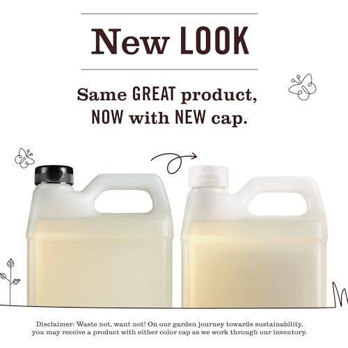 MRS. MEYER'S CLEAN DAY Hand Soap Refill, Lemon Verbena Scent, 33 Fl Oz Bottle