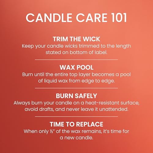 Yankee Candle Spiced Pumpkin Scented Candle, 22oz Large Jar | Up to 150 Hour Burn Time, Room Filling Fragrance, Long-Lasting Scent, Premium Plant Wax Blend, Consistent Burn, Giftable