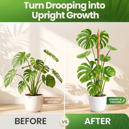 2Pcs 28'' Moss Pole Monstera Plant Support - Plant Stakes for Indoor Plants | Bendable Moss Poles for Climbing Plants, Tall Coco Coir Pole Sticks, Monstera Trellis