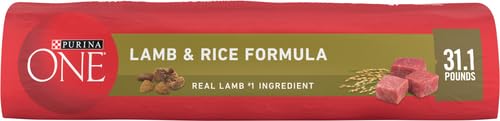 Purina ONE Lamb and Rice Formula Dry Dog Food for Digestive Support | Dog food with real lamb as first ingredient, Microbiome Balanced and prebiotic fiber, supports digestive health