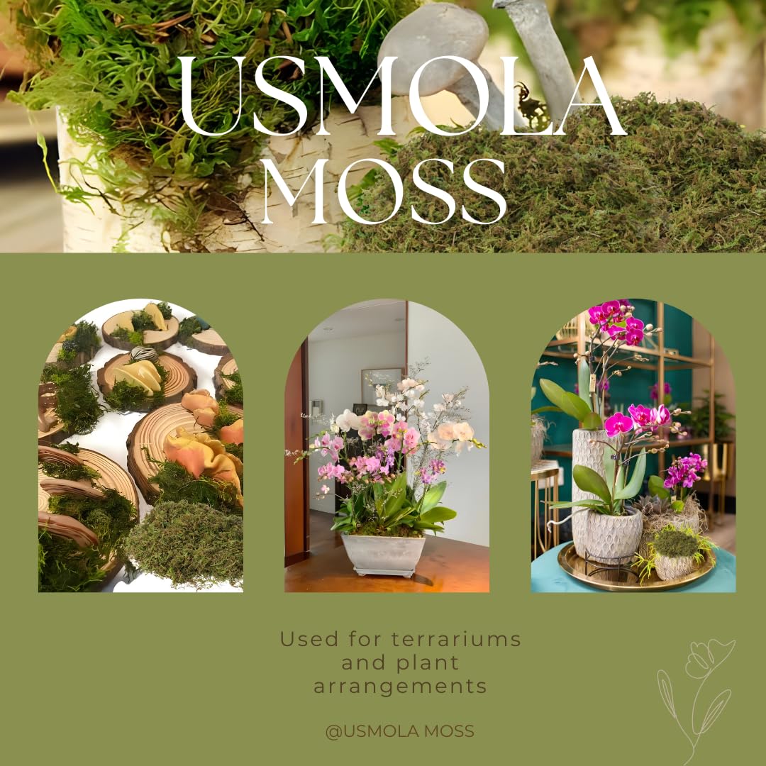 USMOLA Fake Green Moss for Potted Plants, 4OZ Artificial Moss for DIY Crafts, Faux Moss for Table Centerpieces Fairy Garden Decor (Fresh Green 140gr)