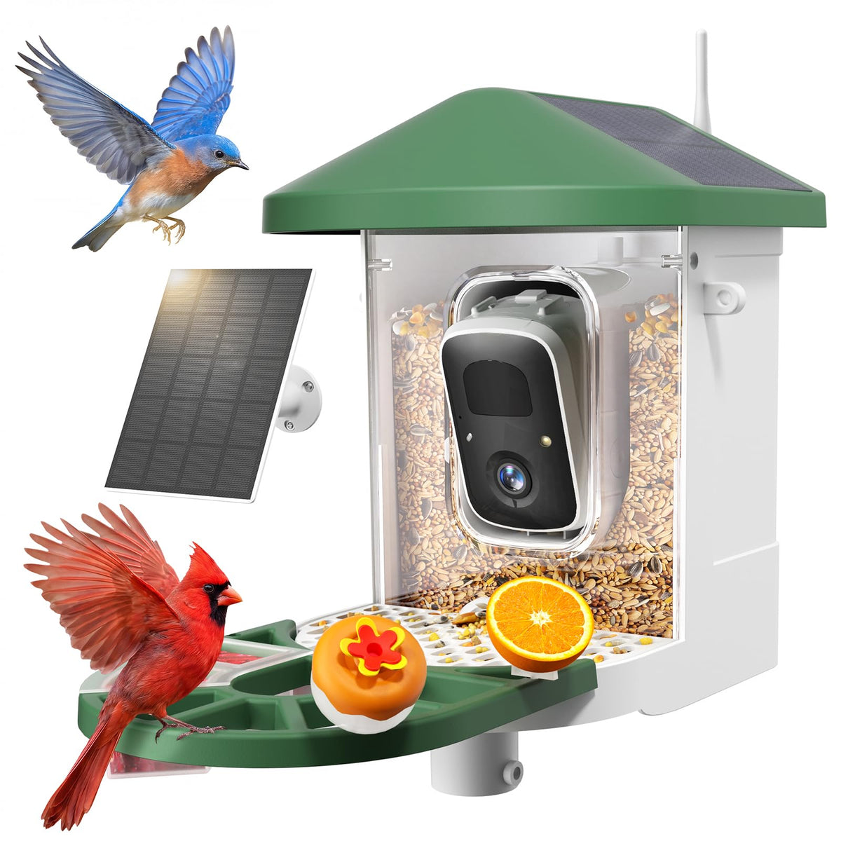 HARYMOR Smart Bird Feeder with Camera Solar Powered, 2K HD Live Video, 10,000+ Bird Species AI Identification, Wild Bird House Feeders for Outdoors, Instant Arrival Alerts, Ideal Gift for Bird Lovers