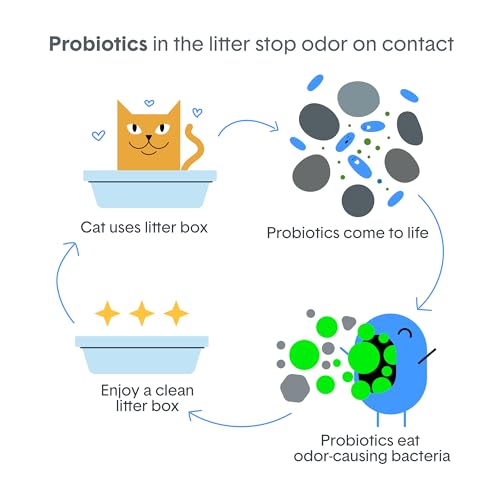 Boxie Probiotic Clumping Cat Litter 40+ Day Odor Control Dust Free 16 lb | Hard Flat Top clumps stay on top for fast scooping and less scrubbing; no added fragrance, fillers, or harsh chemicals