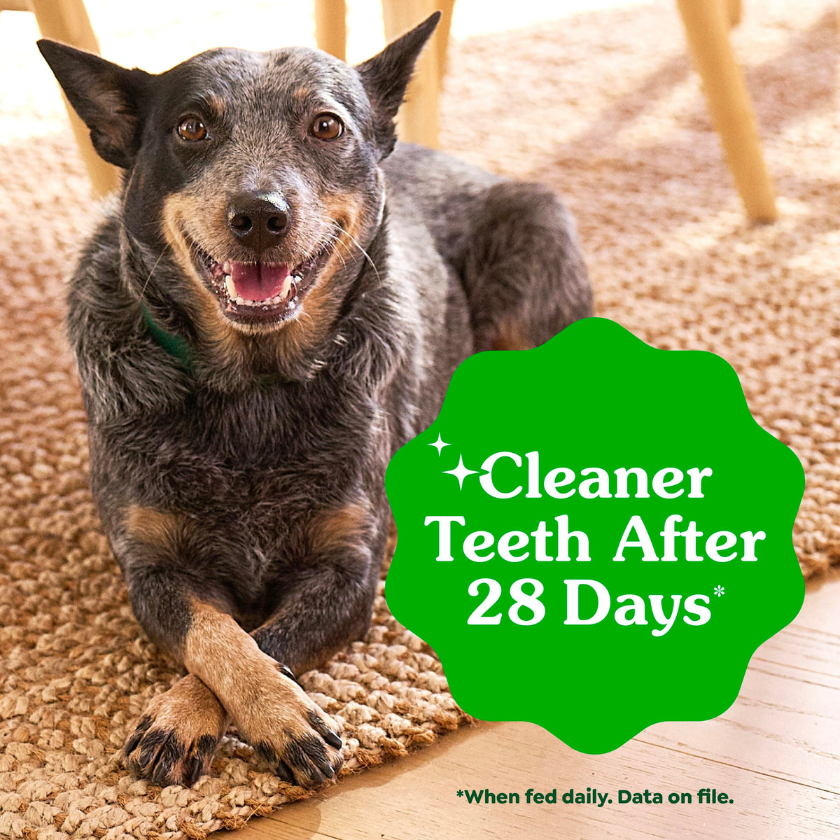 Greenies Regular Dental Dog Treats, Original Chicken Flavor, 36 Count | Veterinarian-recommended, supports oral health & freshens breath, clean to gumline, for dogs 25-50 lbs, chicken flavor