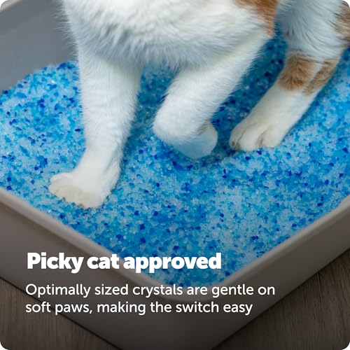 PetSafe ScoopFree Premium Crystal Litter, Fresh Scent, 4.3 Lb Bag, 2 Pack | Ultra-Absorbent Crystal Cat Litter, 5x Faster Odor Control, 99% Dust-Free, Low Tracking, Refills Any Cat Box or Tray