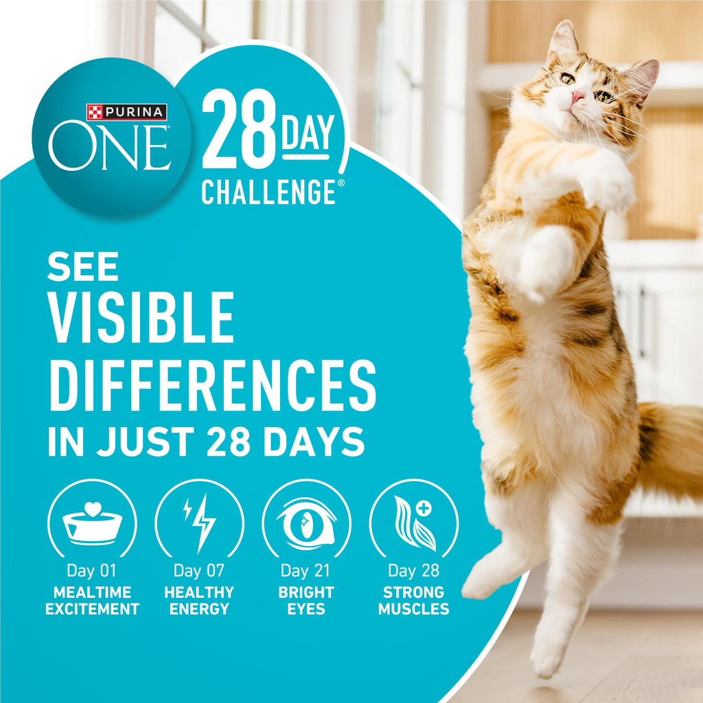 Purina ONE Tender Selects Dry Cat Food, Salmon, 7 lb Bag | Real salmon is the #1 ingredient made with carrots, peas, vitamins A and E for bright eyes, strong muscles and digestion