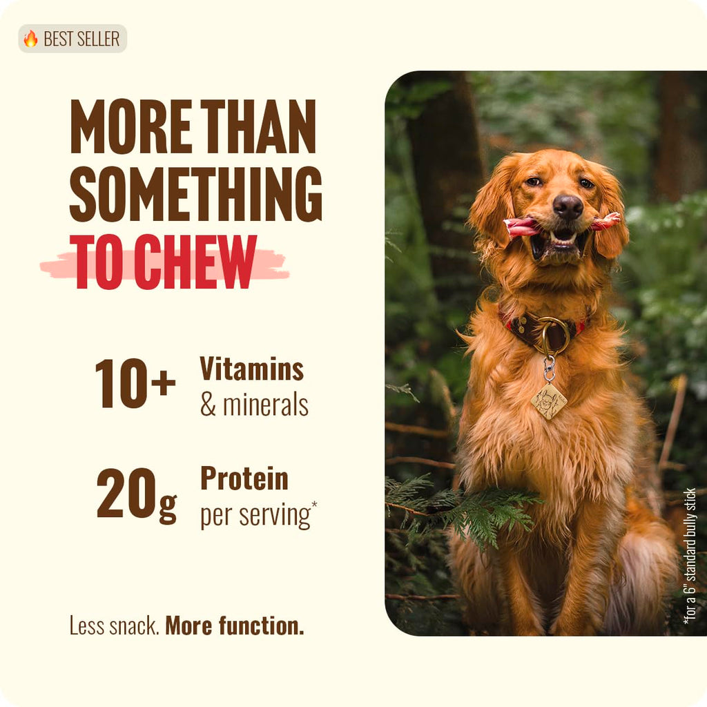 Natural Farm Odor-Free Bully Sticks for All Breeds, 6 Inch, 25 Count | Grass-Fed, Non-GMO, Grain-Free 100% Beef Pizzle. Single-Ingredient, Rawhide-Free, Fully Digestible, Long-Lasting