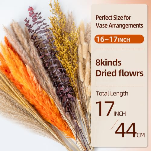 Boho Decor Pampas Grass and Eucalyptus Bouquet | 7Kinds Dried Flowers,pompas grass Dried flowers Arrangement for Centerpiece Table ,Wedding,Home,Room,Rustic Decor