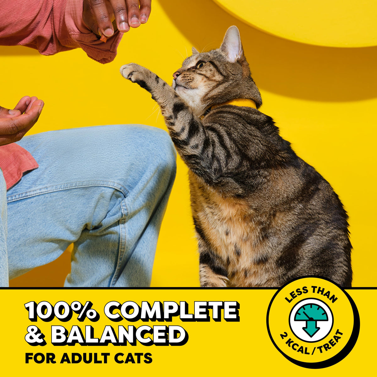 Temptations Classic Crunchy and Soft Cat Treats, Tasty Chicken, 30 oz | Under 2 calories per treat, crunchy outside & soft inside, resealable tub, 100% complete & balanced, snack, meal or topper