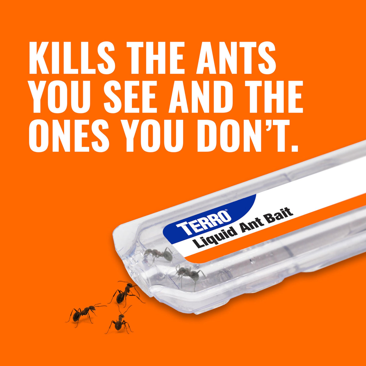 TERRO Liquid Ant Killer Bait Stations, 12-Pack, Indoor Ant Traps, T300B | Borax Formula, Kills the Queen & the Entire Colony, Liquid Ant Baits Indoor, Kills Household Ants, Indoor Use