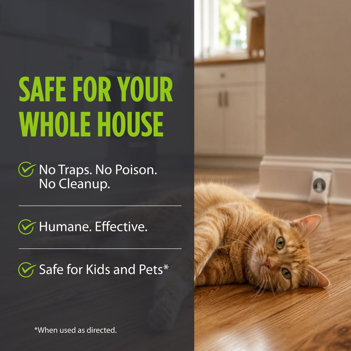 Grandpa Gus's Mouse Repellent Pouches, Peppermint & Cinnamon, Pack of 10 | Plant-Based, Natural Rodent Repellent and Nesting Prevention for Homes/Cabin/Garages/Storage/Vehicles, Kid & Pet Safe