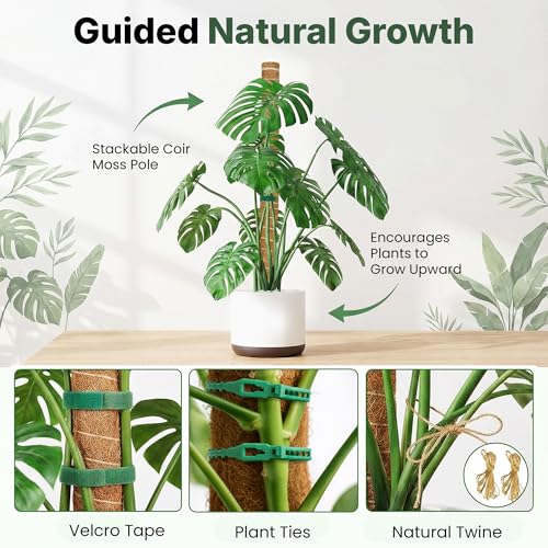 4 Pack 16" Moss Pole Monstera Plant Support - Stackable up to 48" | Plant Stakes for Indoor Climbing Plants Potted - Tall Coco Coir Pole Sticks & Accessories for Monstera, Pothos & Philodendron