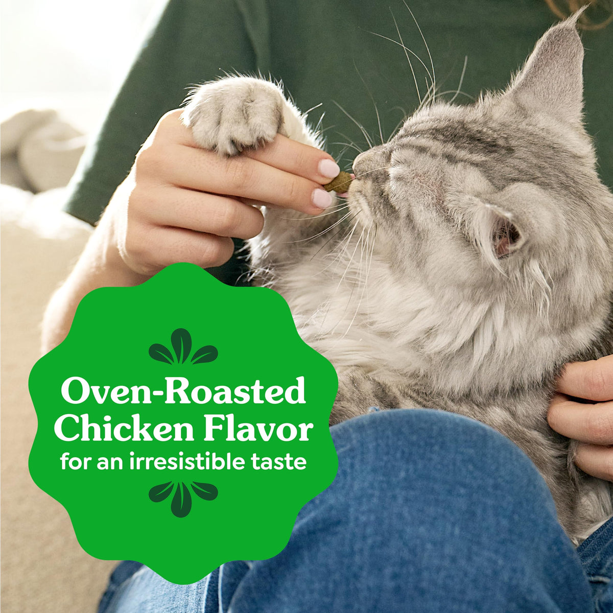 Greenies Feline Natural Dental Cat Treats, Roasted Chicken Flavor, 9.75 oz | #1 vet-recommended, clinically-proven oral care, cleans teeth and freshens breath, cleans to gumline, natural ingredients