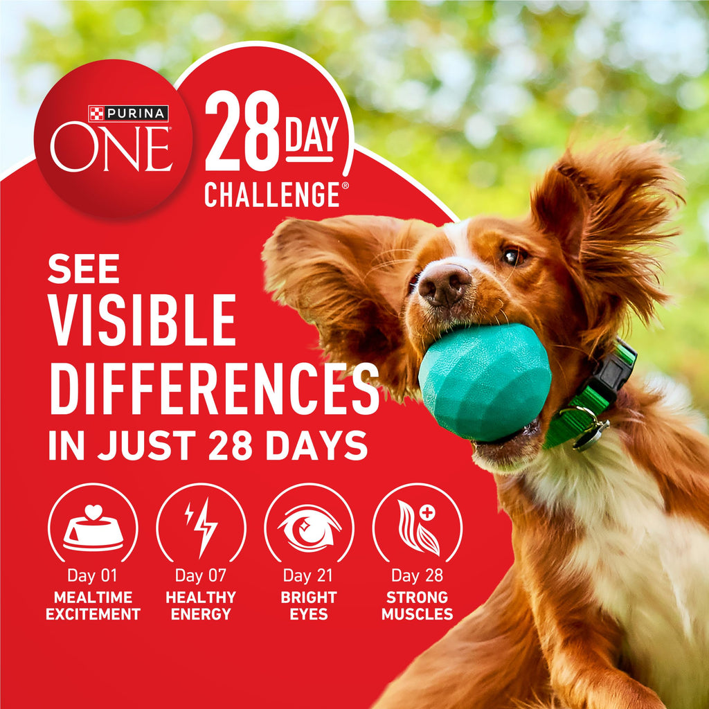 Purina ONE Lamb and Rice Formula Dry Dog Food for Digestive Support | Dog food with real lamb as first ingredient, Microbiome Balanced and prebiotic fiber, supports digestive health