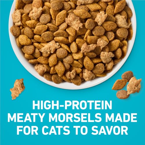 Purina ONE Tender Selects Dry Cat Food, Salmon, 7 lb Bag | Real salmon is the #1 ingredient made with carrots, peas, vitamins A and E for bright eyes, strong muscles and digestion