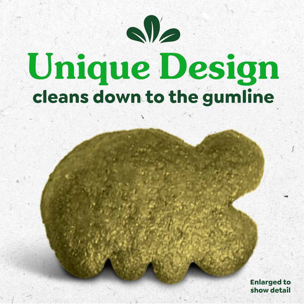 Greenies Feline Natural Dental Cat Treats, Roasted Chicken Flavor, 9.75 oz | #1 vet-recommended, clinically-proven oral care, cleans teeth and freshens breath, cleans to gumline, natural ingredients