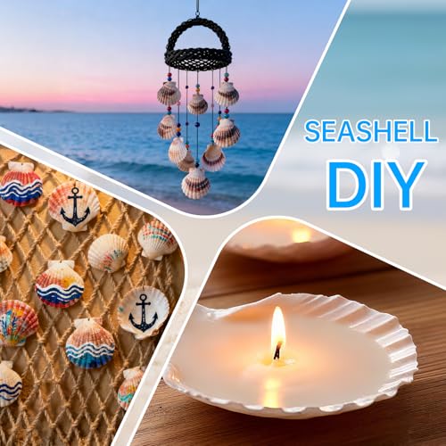10PCS Natural Large Scallop Shells for Crafts, 4-5 in White Sea Shells, DIY | Smooth, cleaned surfaces suit painting, resin art, candle making, baking displays, weddings, classrooms and ocean parties.