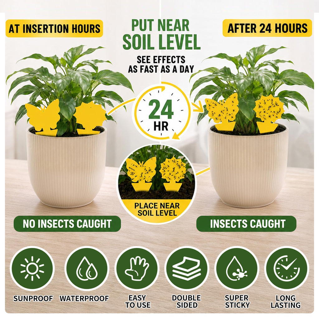 Cleanuper 58 Pack Yellow Sticky Gnat Traps for Plants - Fungus Gnat Killer, Fruit Fly Traps for Indoors, Gnat Sticky Traps for Plants, Family Friendly Design, Sunflower + Butterfly Shapes
