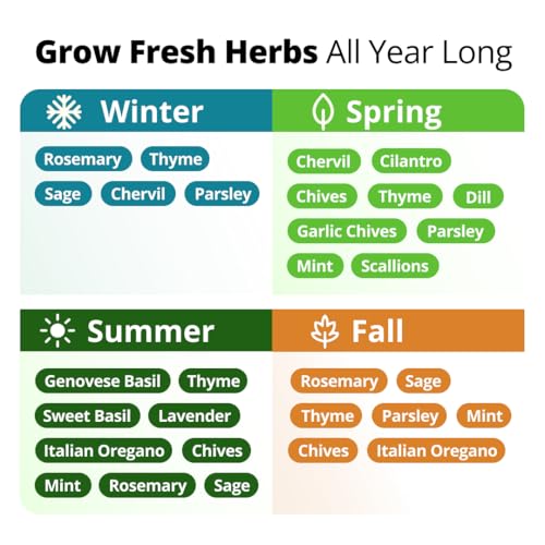 HOME GROWN 15 Herb Seed Variety Kit, 4300+ Seeds, Culinary Herb Kit | High Germination, Heirloom, Non-GMO | 4300+ Seeds | Indoor/Outdoor & Hydroponic | Culinary Herbs | Gardening Gift
