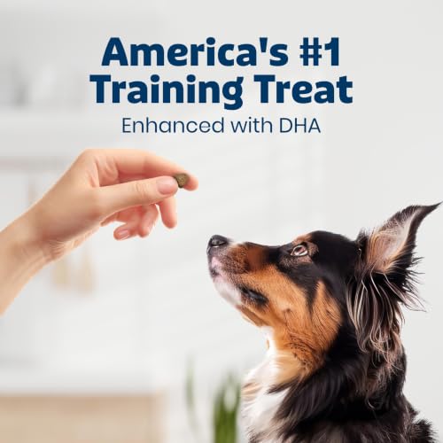 Blue Buffalo Bits Beef Training Treats, 19 oz | Real Beef First, DHA for Cognitive Development, No Chicken By-Product Meals, Free from Red Dye 40