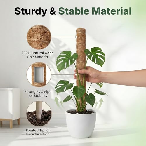 4 Pack 16" Moss Pole Monstera Plant Support - Stackable up to 48" | Plant Stakes for Indoor Climbing Plants Potted - Tall Coco Coir Pole Sticks & Accessories for Monstera, Pothos & Philodendron