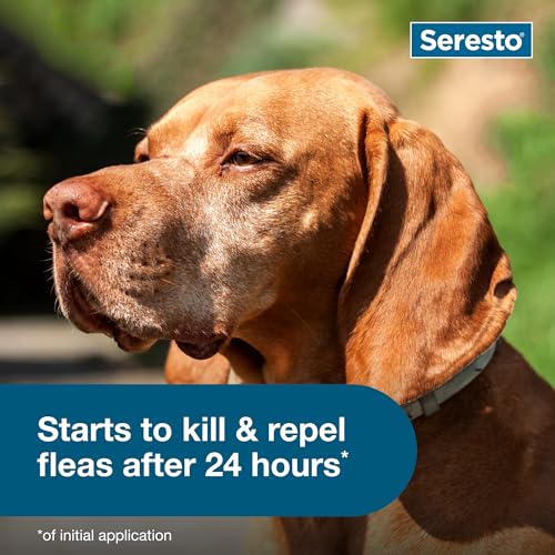 Seresto 8-Month Flea & Tick Collar for Large Dogs Over 18 lbs., 1ct