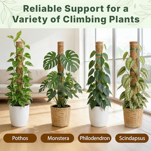 4 Pack 16" Moss Pole Monstera Plant Support - Stackable up to 48" | Plant Stakes for Indoor Climbing Plants Potted - Tall Coco Coir Pole Sticks & Accessories for Monstera, Pothos & Philodendron