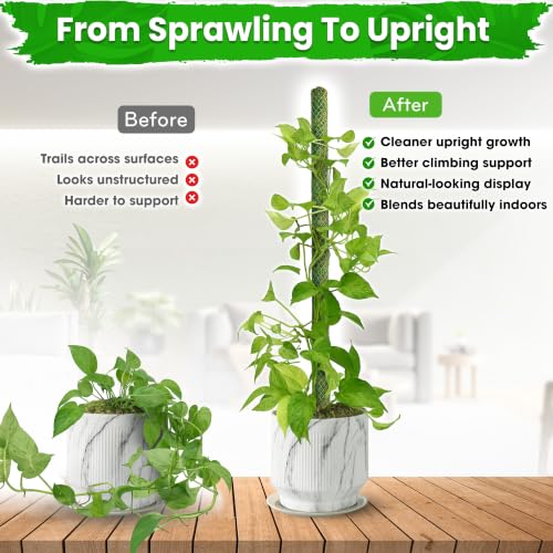 DUSPRO 2 Pack 25" Mesh Moss Pole for Climbing Plants, Pre-Made Moss Pole | Easy To Set Up & Natural Moss Pole Monstera Plant Support, Real Moss Poles for Plants Indoor, Moss Stakes for House Plants