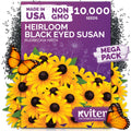10,000 Black Eyed Susan Heirloom Flower Seeds for Planting, Rudbeckia Hirta | Gloriosa Daisy Wildflower Seeds, Flower Seeds for Planting Outside, Borders, Containers, Attracts Pollinators