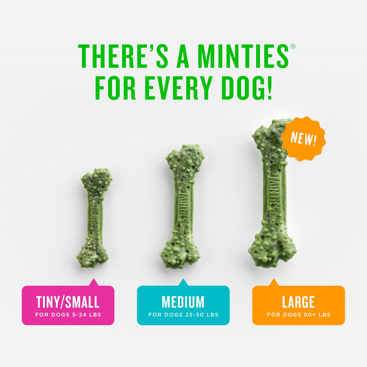 Minties Mint Dental Chews for Dogs, Medium Breeds 25-50 lbs, 40 Ct | Vet-recommended mint dental bone; scrubs teeth as dogs chew; fights plaque, tartar & bad breath; no soy/wheat/corn