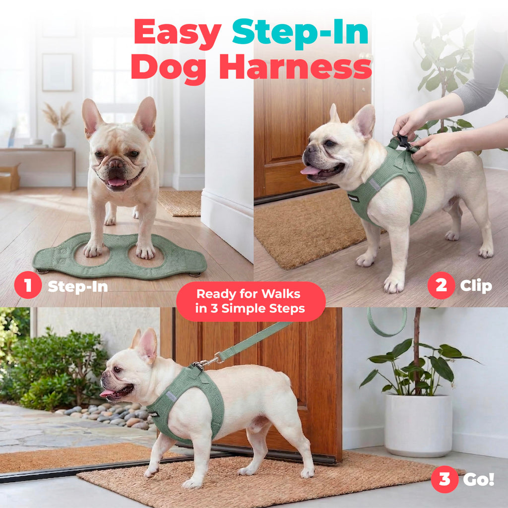 Voyager Step-in Air Dog Vest Harness - Moss Green, Small | 14.5-16" in Chest, Reflective Bands, All Weather Breathable Air Mesh, Cats Compatible, Lightweight, Fast Drying