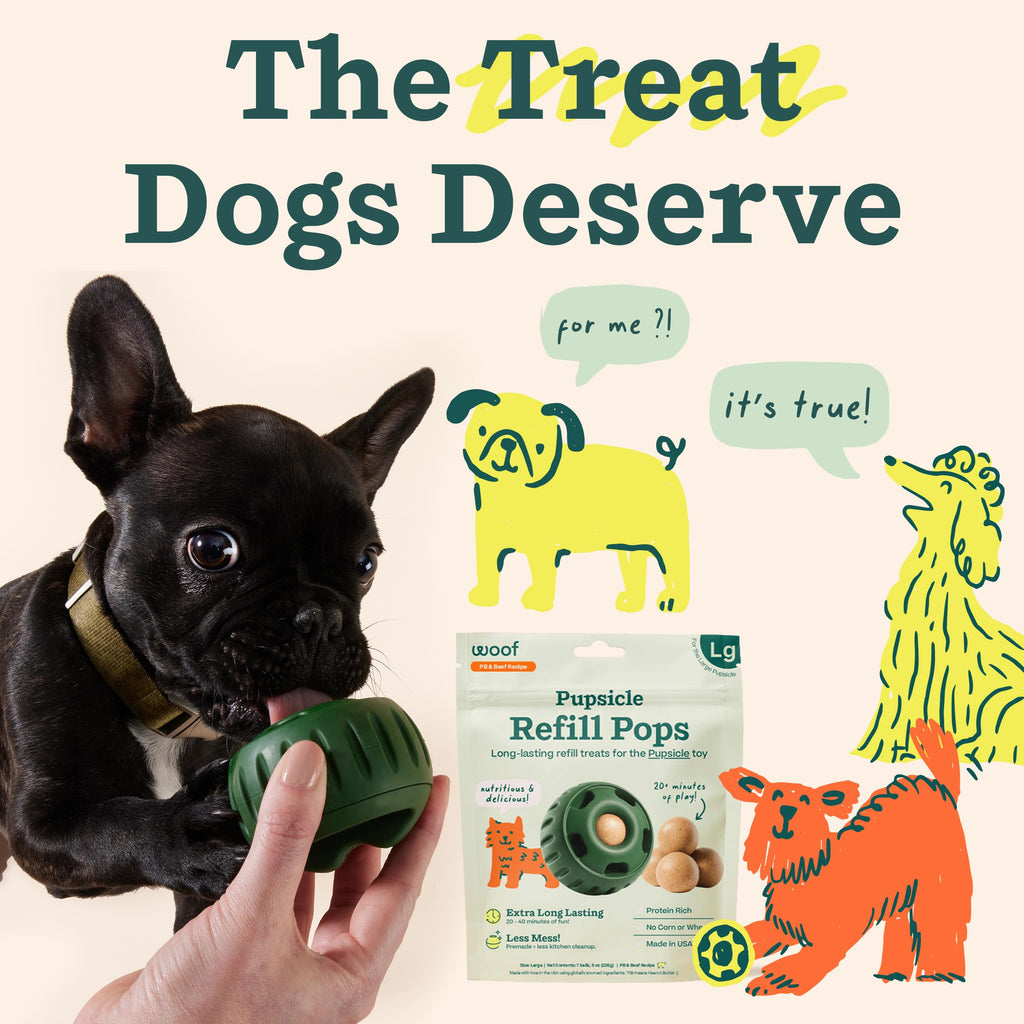 WOOF Pupsicle Peanut Butter & Beef Refill Pops Dog Treats, Large, 7 Count | For large Pupsicles, peanut butter & beef flavor, long-lasting treats, pre-made Pops, wholesome ingredients, shelf stable