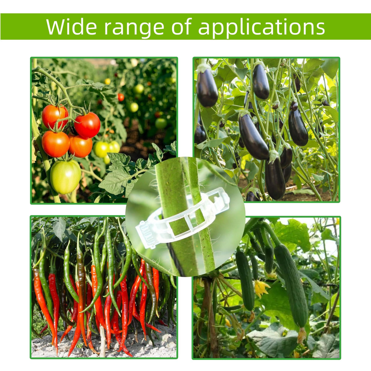 CIQIYO 100 Pcs Plant Support Clips,Plastic Clips for Securing Plants | Plant Fixing Clips,Tomato Vine Clips,Garden Clips for Climbing Plants,Grape and Vine Vegetables,Reusable(100, Green)