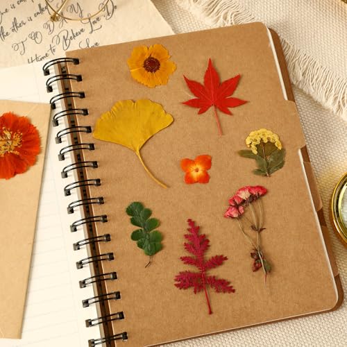 Augshy Fall Dried Pressed Flowers and Leaves for Autumn Crafts Resin DIY | Real Pressed Flowers, Ideal for Scrapbooking Candle Making,Autumn Foliage Colors,100 Pcs Craft Set