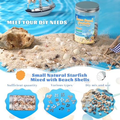 1200 Pcs Tiny Sea Shells, Seashells for Crafts with Small Shells Starfish | Mixed Ocean Beach Spiral Seashells for Beach Party, Fish Tank and Vase Filler, Wedding Decor, DIY Jewelry Candle Making