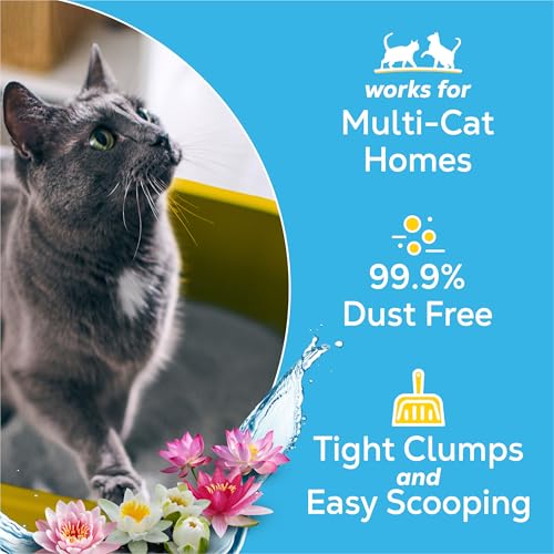 Purina Tidy Cats Clumping Cat Litter, Glade Clear Springs, 38 lb | Lightweight, low dust multi-cat litter with 10-day odor control and fresh floral fragrance