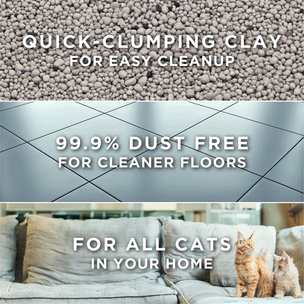 Purina Tidy Cats Free and Clean Unscented Clumping Cat Litter, 38 lb Box | Activated charcoal delivers lasting odor control, made without fragrances or dye, clumping