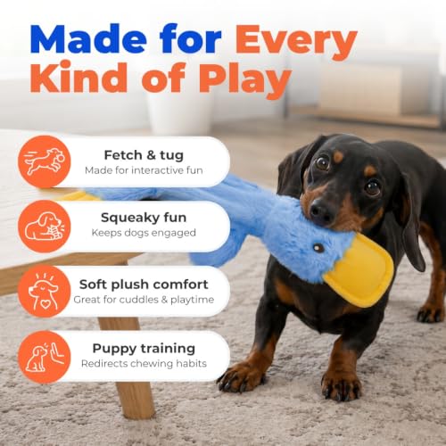 Best Pet Supplies Interactive Squeaky Dog Toy - Crinkle Duck, Blue | Stuffing Free Body, Soft, Squeaks & Crinkles, No Mess, Perfect for Moderate Chewers, Toss and Fetch Play